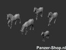 spur-tt-Paarden-1
[mwwsrc:56536f9daaa06f72fd68ffa086f75ae5ed4267ed.jpg]