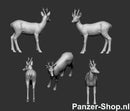 spur (H0) Rehe Modell