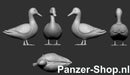 spur (N) Enten Modell