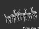 spur (N) Rehe Modell
