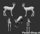 spur (N) Rehe Modell