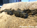 spur (N) Wehrmacht Satze 6 | Sitzende Soldaten Modell